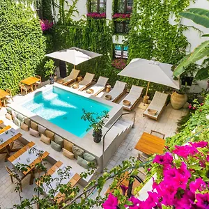 *** Szálloda Casa Nostra Boutique & Olaszország